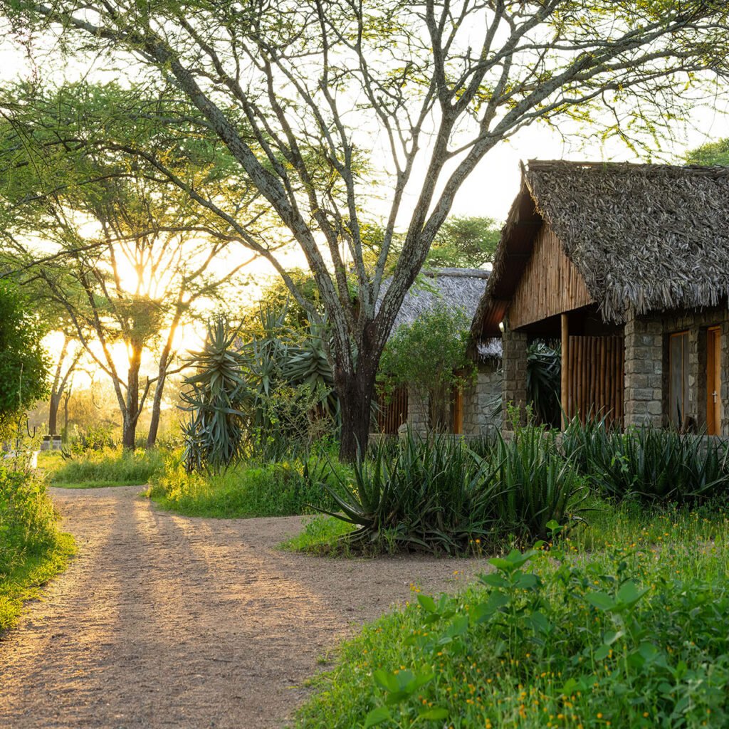 Lodge and Camp Rates - Tanzania safari in January
