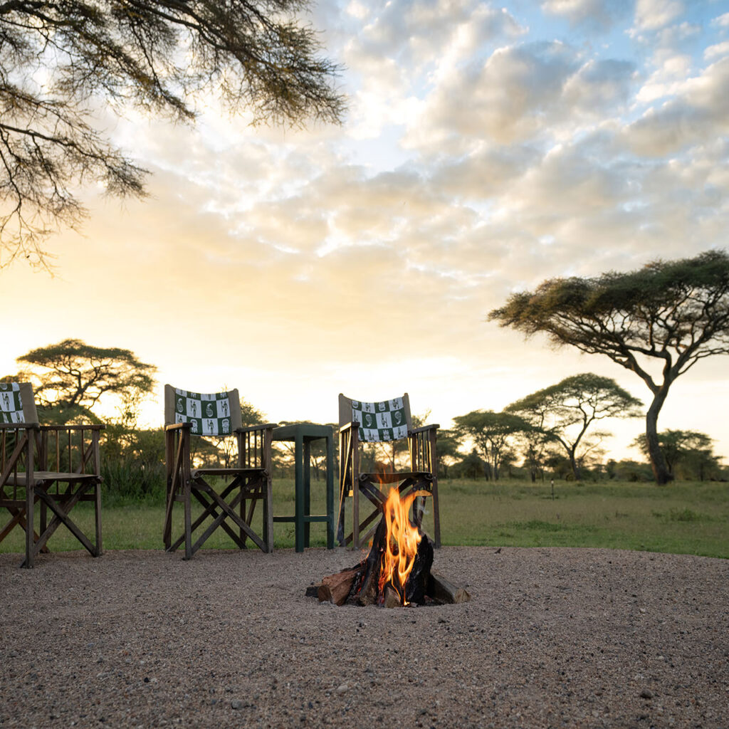 Ndutu Safari Lodge, Come organizzare un viaggio in Tanzania e Zanzibar: Guida Completa