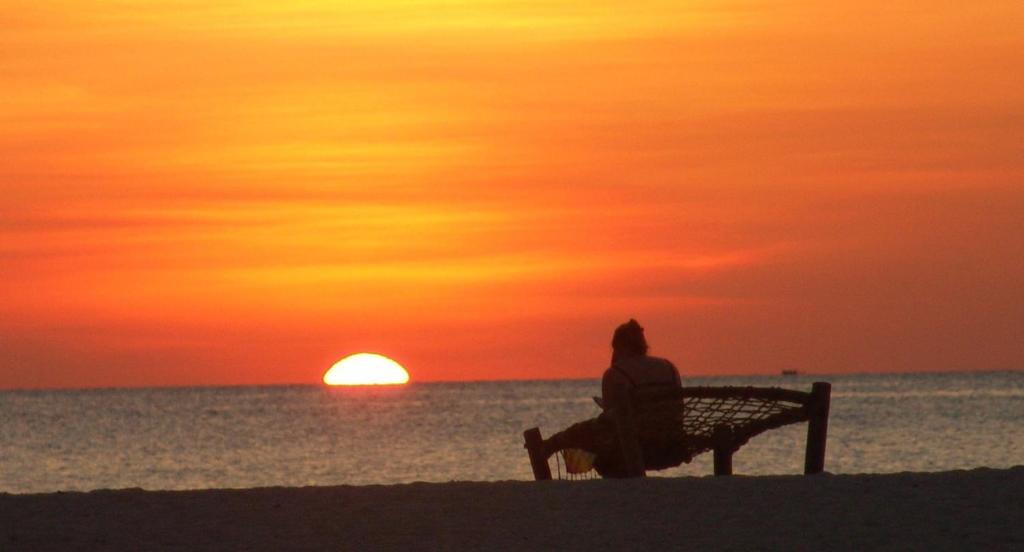 Sunset Kendwa Beach Hotel, Best Tanzania Tours & Trips, Mind-Blowing Facts about the African Continent, Why choose Africa for your next safari trip?, How to Find Budget-Friendly Safari Honeymoon Packages