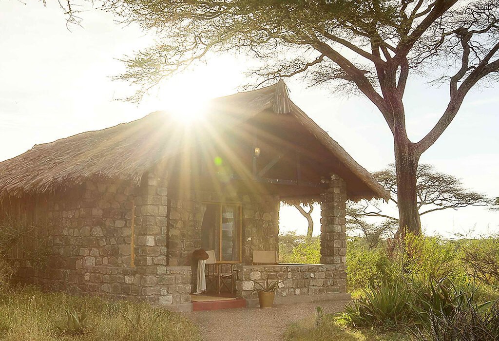 8-Day Ndutu Migration Calving Season - Tanzania safari in February