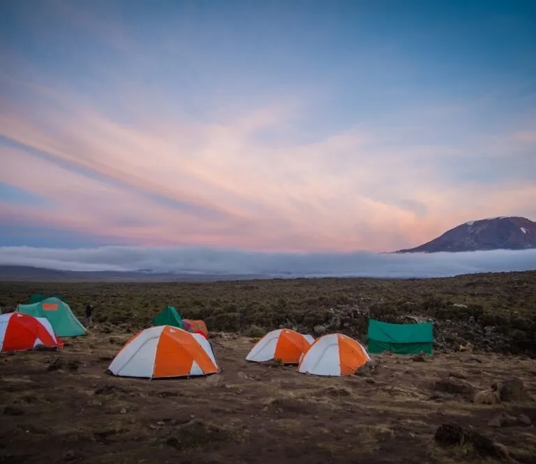 Kikelelwa Camp on Mount Kilimanjaro, Kilimanjaro Tour Operators & Travel Agents (A-Z List)