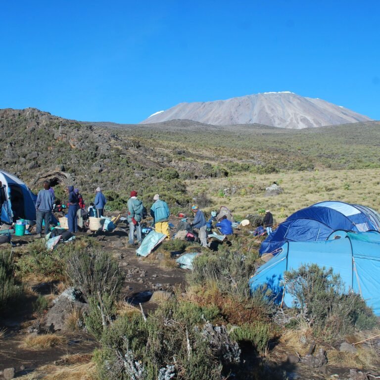 6-Day Lemosho Route
