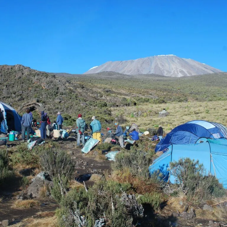 6-Day Lemosho Route