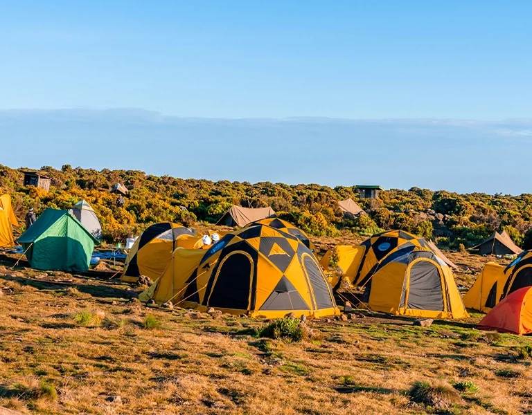 Photographic Kilimanjaro Tour Operators & Travel Agents (A–Z List)