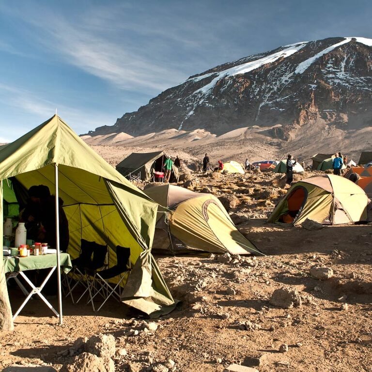 Trekkers on the Machame Route, Kilimanjaro