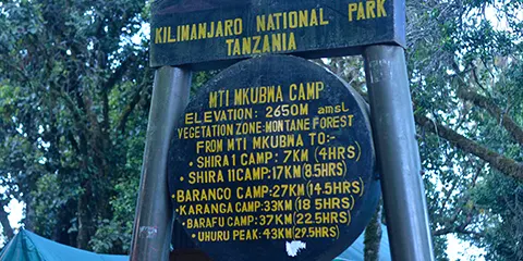 Kilimanjaro Mti Mkubwa Camp