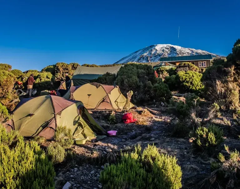 Machame Camp hut, Millennium Camp on Mount Kilimanjaro