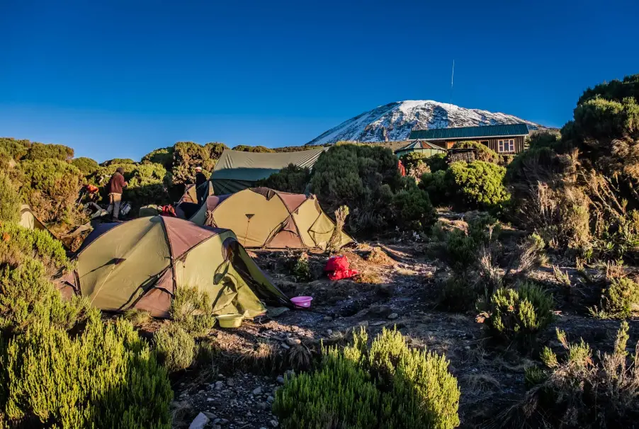 Machame Camp hut, Millennium Camp on Mount Kilimanjaro