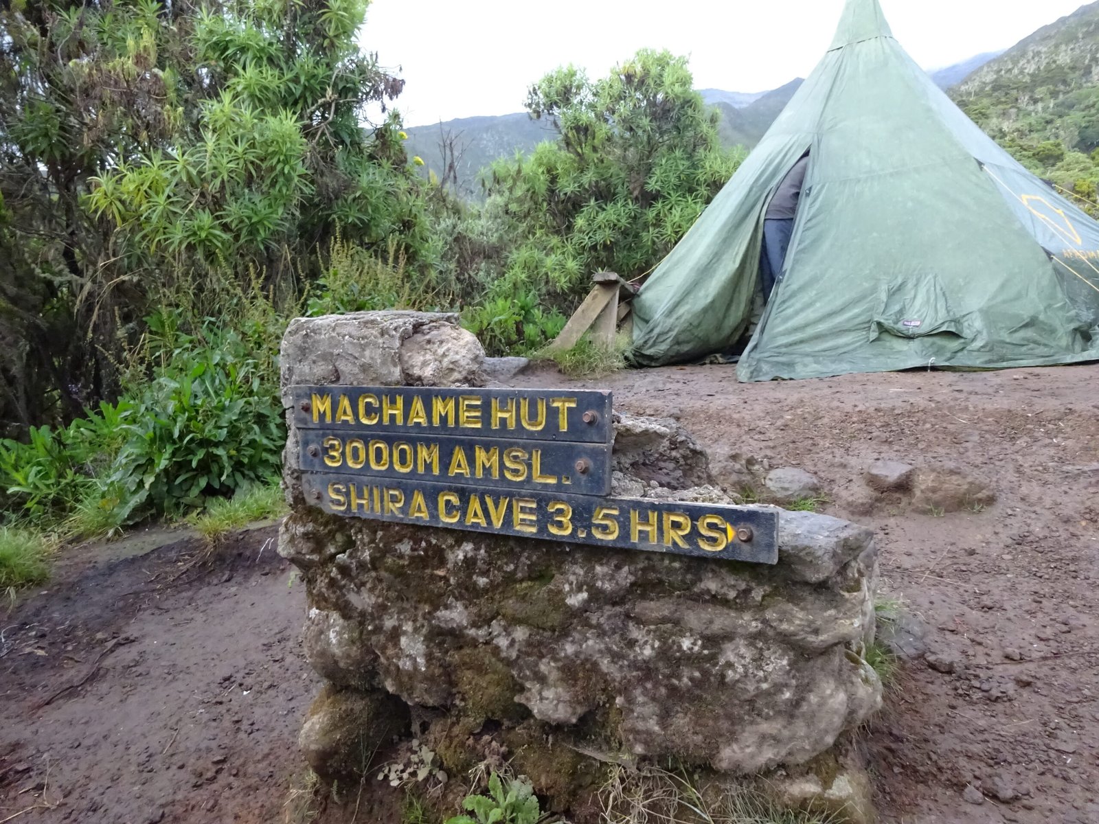 Heath and Moorland Zone - Mount Kilimanjaro facts, Foot Slopes Tours and Safaris