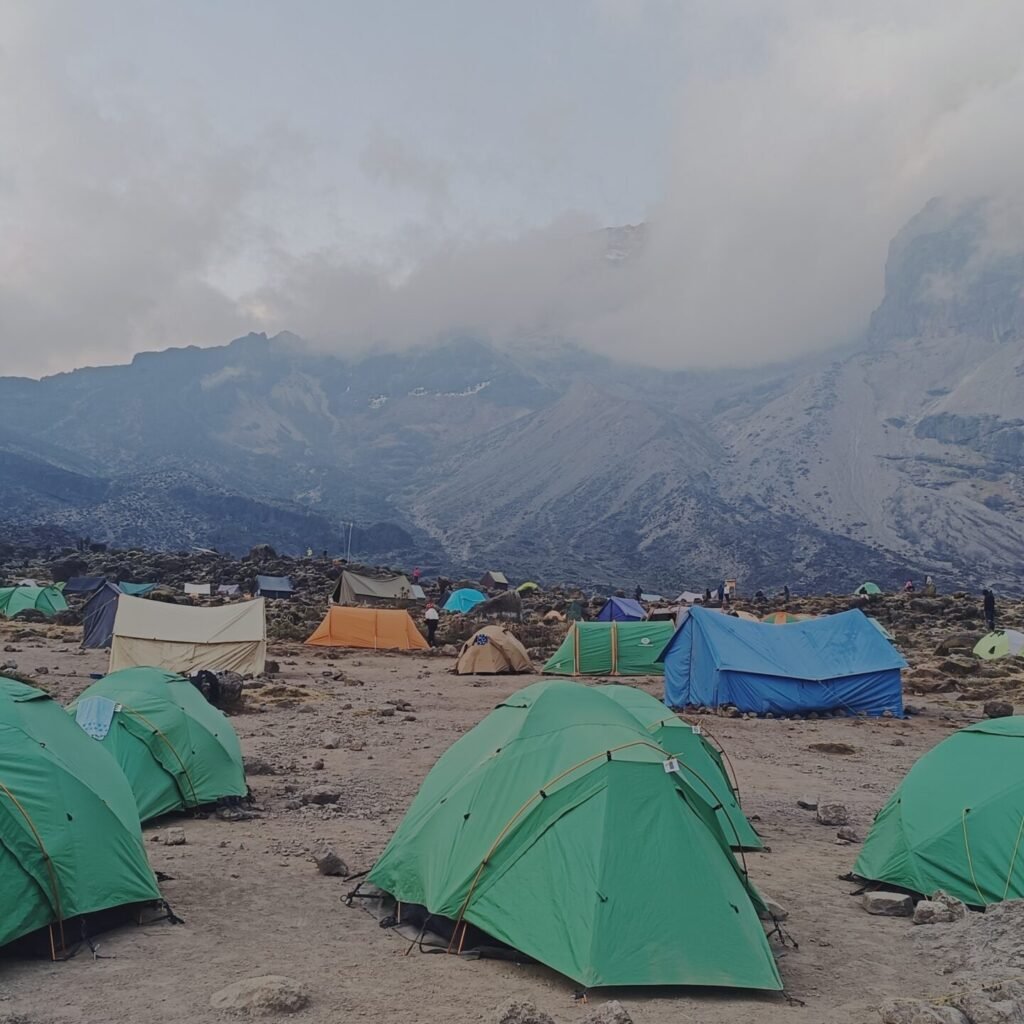 7-Day Lemosho Route - Climbing Kilimanjaro in March