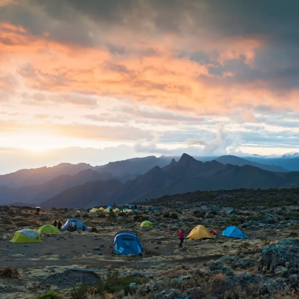 shira camp
