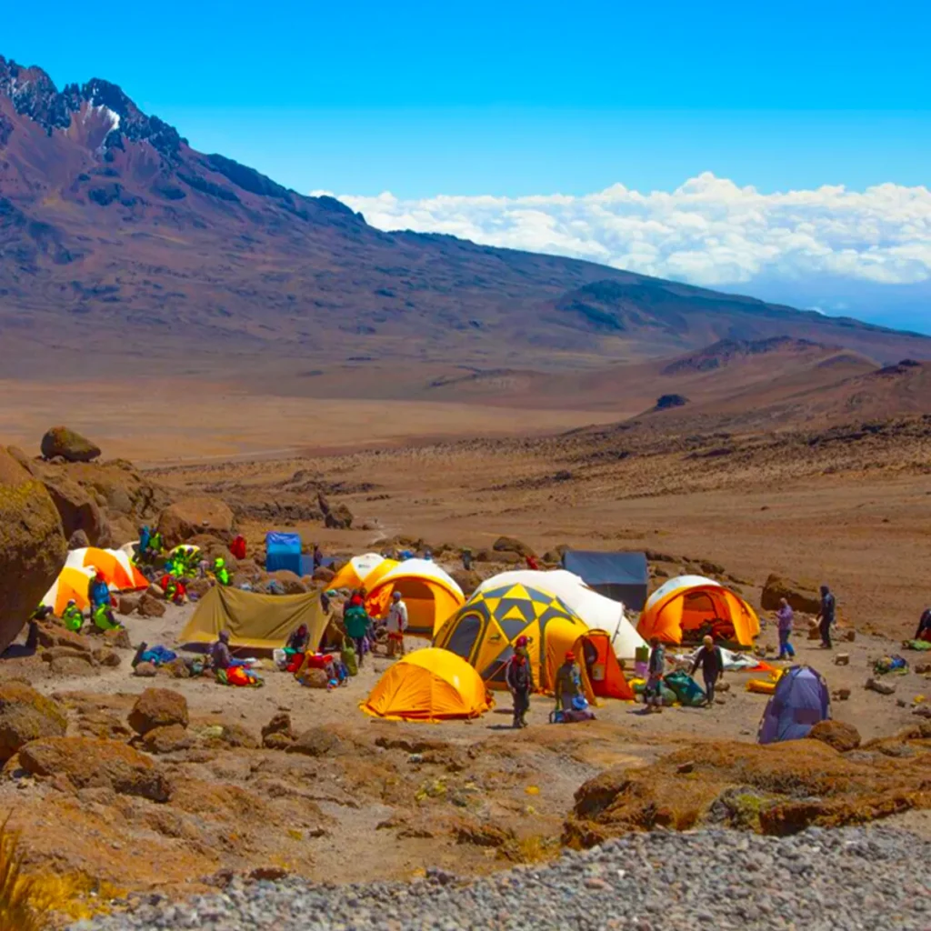 Rongai Route, 6–7 Days - Climbing Kilimanjaro in June