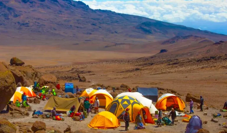 Simba Camp on Kilimanjaro, Kilimanjaro National Park