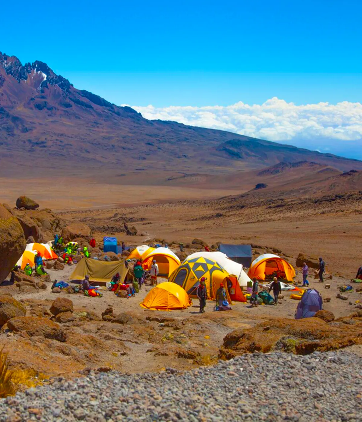 Simba Camp on Kilimanjaro, Kilimanjaro National Park