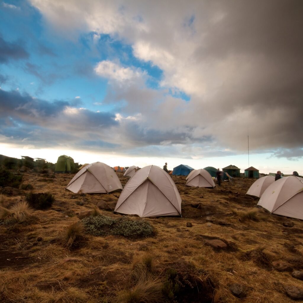 Lemosho Route, 7–8 Days - Climbing Kilimanjaro in June