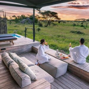 How to Plan a Safe Tanzania Safari with Kids, Surprising Activities You Can Try on an African Safari, Design a Tanzania Safari online, Best Honeymoon Safari Packages, African Safari Honeymoon Planning Tips for Couples, Types of Tanzania Safari Accommodations, Luxury Lodges Perfect for Multi-Generational Family Safaris, Best Safari Camps and Lodges in Tanzania, Serengeti Tour Operators & Travel Agents (A-Z List), Luxury Tanzania Safari Cost, Ngorongoro Crater Tour Operators, Bespoke High-end Luxury African Safari, High-End Tanzania Luxury Safari Tours, Luxury Tanzania Safari & Zanzibar Beach Escape, safari do’s and don’ts, Africa Travel Tips & Advice from the Experts, What to Expect from a Tailor-Made Safari in Africa