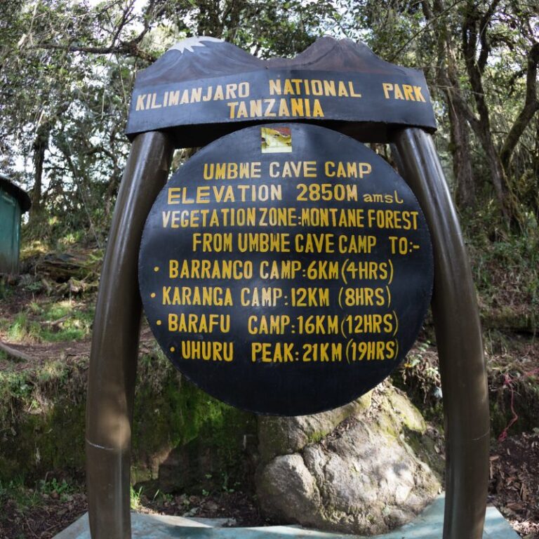 Umbwe Cave Camp,