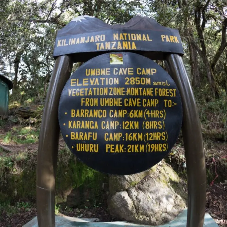 Umbwe Cave Camp,