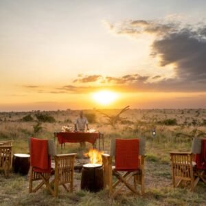 Nyikani Migration Camp - Kogatende, Why a Private Safari Is the Best Way to Explore Tanzania?, Luxury vs Mid-range Tanzania Safari