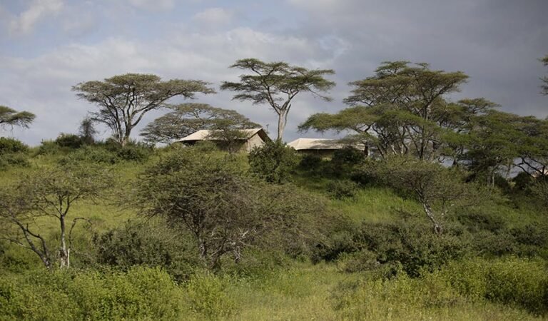 Nyikani Migration Camp - Kogatende