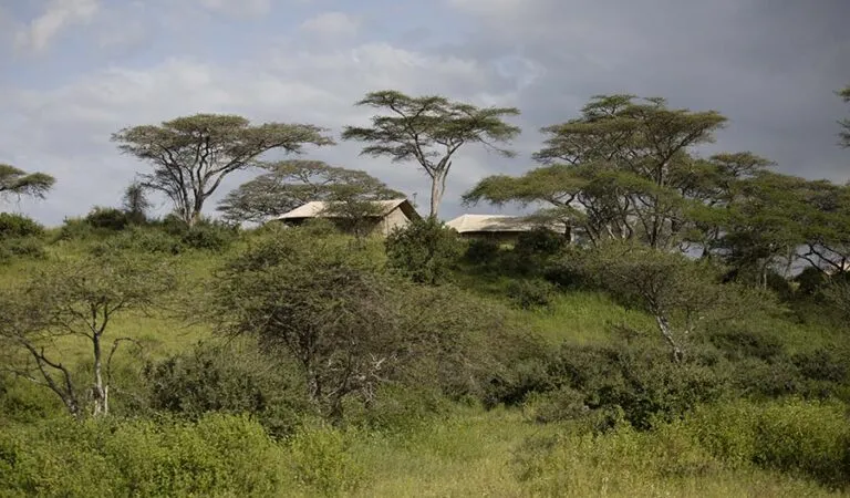 Nyikani Migration Camp - Kogatende