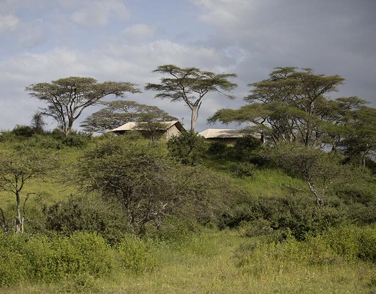 Nyikani Migration Camp - Kogatende