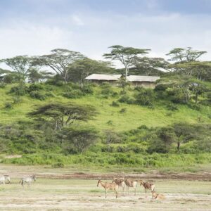 Nyikani Migration Camp - Kogatende, Why a Private Safari Is the Best Way to Explore Tanzania?