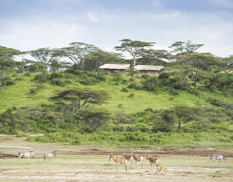Nyikani Migration Camp - Kogatende, Why a Private Safari Is the Best Way to Explore Tanzania?