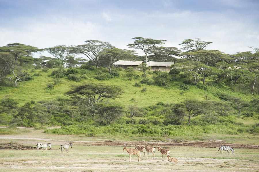 Nyikani Migration Camp - Kogatende, Why a Private Safari Is the Best Way to Explore Tanzania?