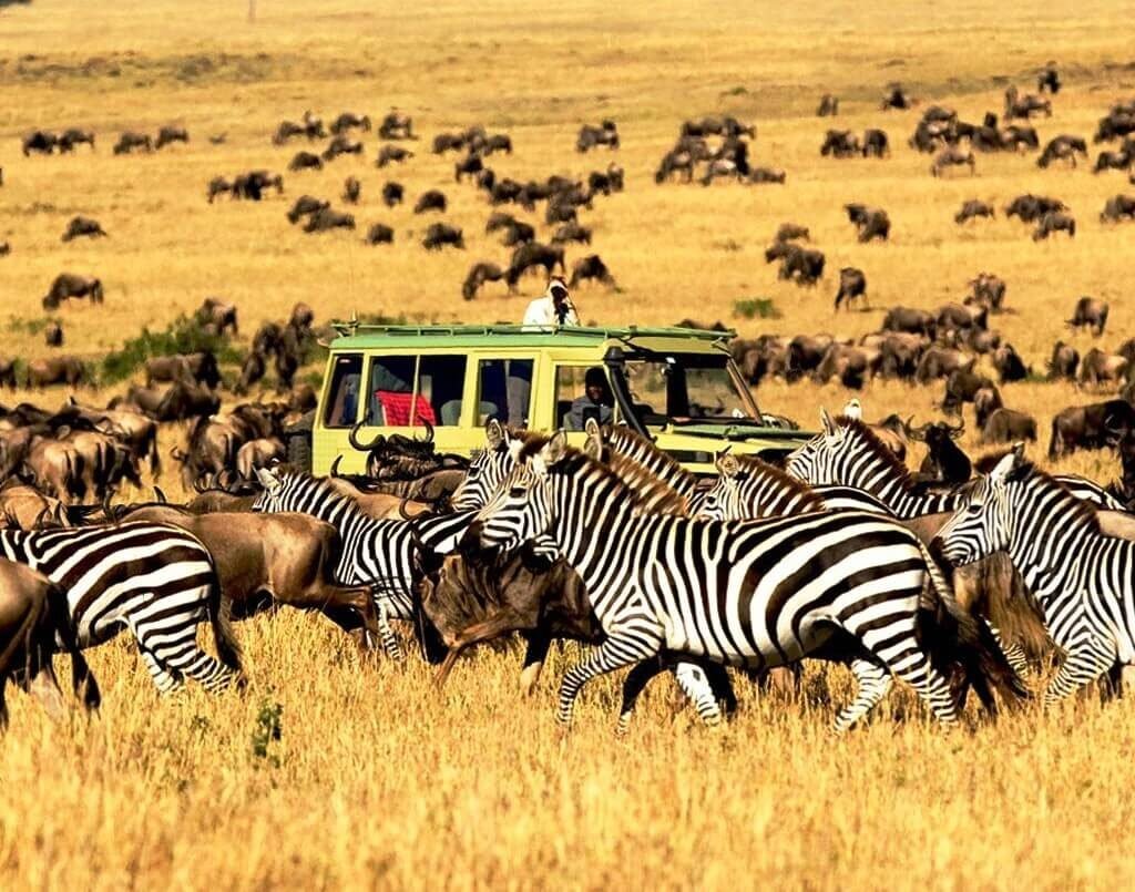 Serengeti National Park - Home to the Great Migration