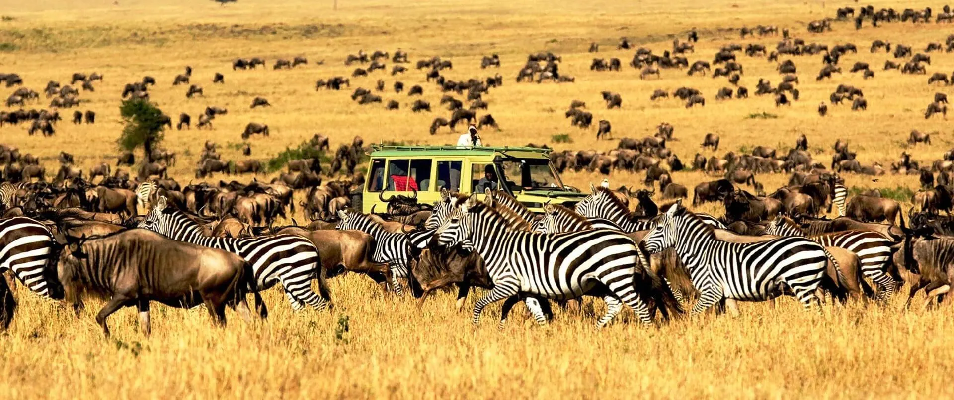 Serengeti National Park Facts