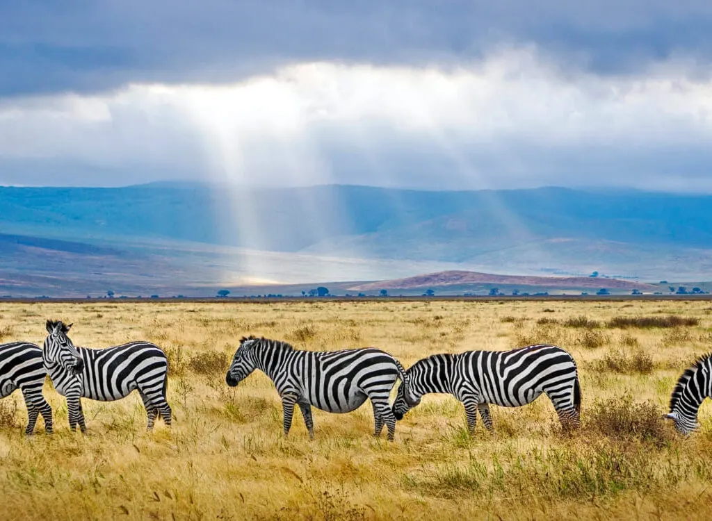 Serengeti National Park - UNESCO World Heritage Centre, African Dream Safaris