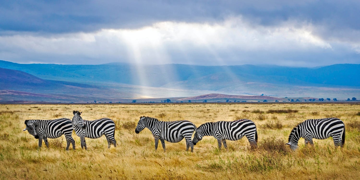 Serengeti National Park - UNESCO World Heritage Centre, African Dream Safaris