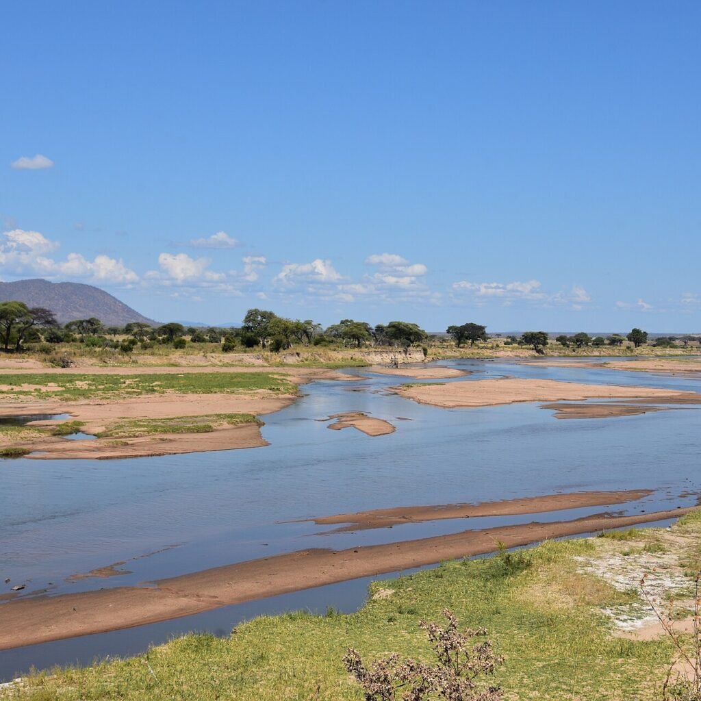 Ruaha National Park - Tanzania safari in September