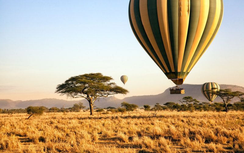 Serengeti Balloon Safaris, African Safari Tour Packages, What to expect on a Hot air Balloon Safari in Tanzania, 8-Day Tanzania Wilderness Safari, Tanzania in December, Best Places For a Balloon Safari in Africa