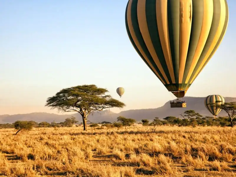 Serengeti Balloon Safaris, African Safari Tour Packages, What to expect on a Hot air Balloon Safari in Tanzania, 8-Day Tanzania Wilderness Safari, Tanzania in December, Best Places For a Balloon Safari in Africa