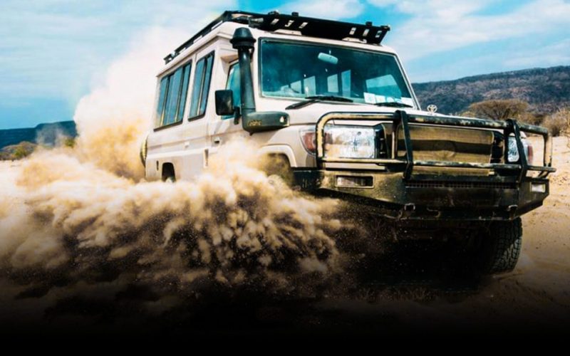 What cars do we use for our safaris? Tanzania Safari Vehicles, Best Tanzania Safaris & Tours, Best Tanzania Tours for Singles, 5 Days Tanzania Safari, 4 Days Tanzania Luxury Safari, Rhino Safaris - All you need to know before you go, How to Choose a Good Affordable Tanzania Safari Company, Tanzania in October, Remember, Tanzania's diverse regions offer unique experiences year-round. Consider these options: The Serengeti: Witness the Grumeti River Mara River crossings between July and October, even during the low season. Ngorongoro Crater: Enjoy year-round wildlife viewing in this volcanic haven, with fewer crowds during the wet season. Zanzibar: Escape the mainland altogether and indulge in beach bliss, with sunshine guaranteed year-round. Ultimately, the perfect safari timing boils down to your priorities. If wildlife viewing and clear skies are paramount, high season beckons. If budget and solitude resonate with you, the low season unfolds its charm. No matter your choice, Tanzania's magic awaits, promising an unforgettable adventure etched in the tapestry of your memories. So, pack your sense of wonder, choose your season, and get ready to be captivated by the untamed beauty of Tanzania! 10 Things You Shouldn't Do When You're on Safari in Africa, Tips to get the most out of your Tanzania safari adventure, Ten Exciting Activities You Can Do on an African Safari, Camping Safari Vs Lodge Safari: Which To Choose, What You Should Know Before Booking Africa Vacation? Ultimate 7-10 Day Tanzania Safari Itinerary & Costs, Lake Natron, Why You Should Travel With a local Safari Operator