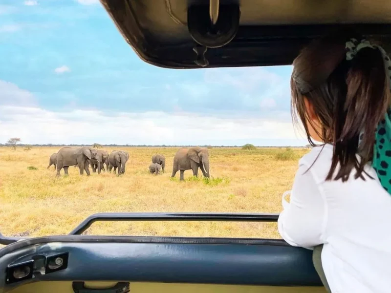 4-Days Tanzania Lodge Safari Tarangire Ngorongoro Crater, Tanzania Safari Itinerary, 10 Best Things to do in Ngorongoro, Top 10 Budget Safaris in Serengeti National Park,, 10 Day Serengeti Safari and Zanzibar Beach Special Offer, Ultimate 7-10 Day Tanzania Safari Itinerary & Costs