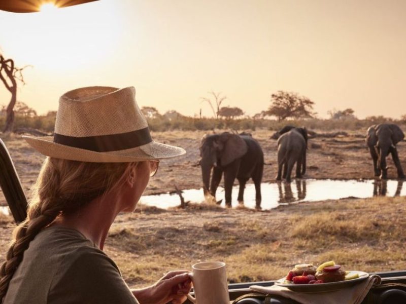 African Safaris For Families - Tanzania Safaris, Responsible Serengeti Safari, First Timer's Guide Step-by-Step to Planning your Tanzania Safari, How many Days to Spend on a Serengeti Safari? 10-Days Tanzania Budget Safari Tours.