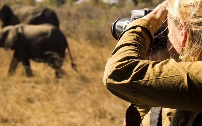 10-Day Student Safari Tanzania - 5-Day Tanzania Lodge Safari - Photo Safari in Tanzania | Incredible Tanzania Photographic Safari Packages, What To Know Before Going For Big Five Safari In Tanzania, Best All-Inclusive African Safari Vacations, big five in Tanzania, 4-Days Serengeti Migration Safari, 10-Days Student Safari Tanzania, Simple Tips to Improve Your Safari Photographs, Best Tailor-Made Big 5 African Safaris, Responsible Travel, Ngorongoro Crater, Is the Ngorongoro Crater Worth Visiting?, 8 things that should be on your Tanzania itinerary, why you should visit the Ngorongoro Crater, What Camera should i bring for Tanzania Safari? How to Photograph Animals on the Move, Wildlife Photography Tips for Your Next Tanzania Safari, 10 Best African Photographic Safaris, How to Take Fabulous Smartphone Photos on Safari, Lake Eyasi Safari, Best Things to Do in Lake Manyara National Park, Best African Wildlife Safari, Tanzania Flying Safaris, Asilia Africa, The Ultimate Guide to Going on an African Safari, The Beginner’s Guide to Photographing an African Safari, How to Prepare For Tanzania Safari, Tips to Improve Your Wildlife & Nature Photography, African Safari Itineraries, Where to Go in Africa on a Photographic Safari, Serengeti Luxury Safaris, Ngorongoro Crater Trips for Solo Travelers, Arusha Safari Tours, Photography Safari in Tanzania, Luxury Wildlife Photo Tours, Trips, 7-Day Best of Serengeti Safari