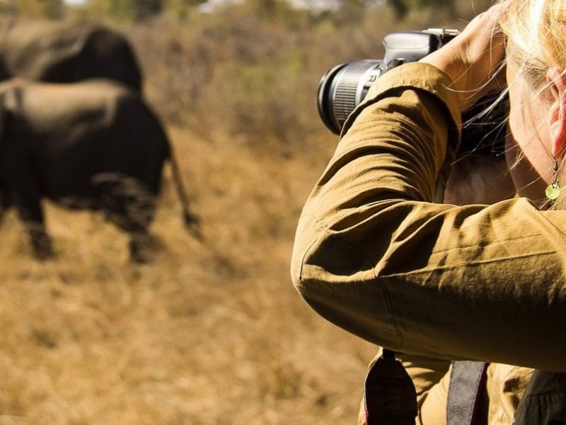 Photo Safari in Tanzania | Incredible Tanzania Photographic Safari Packages, What To Know Before Going For Big Five Safari In Tanzania, Best All-Inclusive African Safari Vacations, big five in Tanzania, 4-Days Serengeti Migration Safari, 10-Days Student Safari Tanzania, Simple Tips to Improve Your Safari Photographs, Best Tailor-Made Big 5 African Safaris, Responsible Travel, Ngorongoro Crater, Is the Ngorongoro Crater Worth Visiting?, 8 things that should be on your Tanzania itinerary, why you should visit the Ngorongoro Crater, What Camera should i bring for Tanzania Safari? How to Photograph Animals on the Move, Wildlife Photography Tips for Your Next Tanzania Safari, 10 Best African Photographic Safaris, How to Take Fabulous Smartphone Photos on Safari, Lake Eyasi Safari, Best Things to Do in Lake Manyara National Park, Best African Wildlife Safari, Tanzania Flying Safaris, Asilia Africa, The Ultimate Guide to Going on an African Safari, The Beginner’s Guide to Photographing an African Safari, How to Prepare For Tanzania Safari, Tips to Improve Your Wildlife & Nature Photography, African Safari Itineraries, Where to Go in Africa on a Photographic Safari, Serengeti Luxury Safaris, Ngorongoro Crater Trips for Solo Travelers, Arusha Safari Tours, Photography Safari in Tanzania, Luxury Wildlife Photo Tours, Trips, 7-Day Best of Serengeti Safari, Mikumi National Park