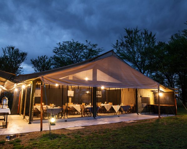 The tents at Mara Kati Kati are meticulously designed to blend the essence of classic safari adventures with modern comforts. Each tent is furnished with plush bedding, locally inspired décor, and ensuite bathrooms equipped with hot showers and eco-friendly toiletries. The subtle lighting, soft linens, and rustic yet sophisticated furnishings create an ambiance that seamlessly merges the raw beauty of the wilderness with the elegance of a homey accommodation., Choosing an African Safari Lodge or Camp, Exceptional Tanzania Safari, African Safari FAQs