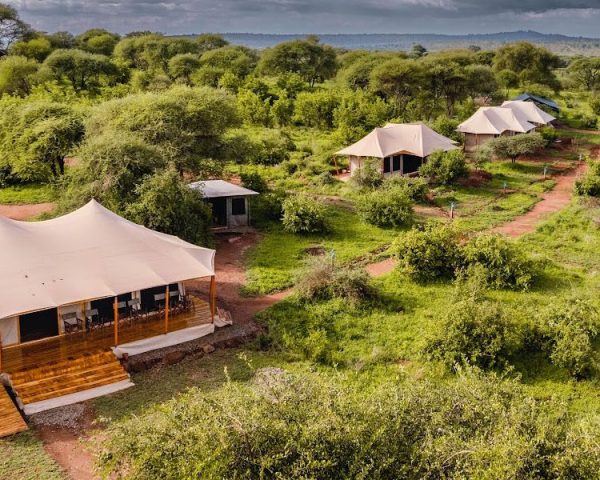 Top 5 tented migration camps in Tanzania