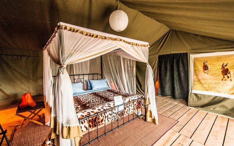 Angata Serengeti Reviews, Deals & Photos 2023