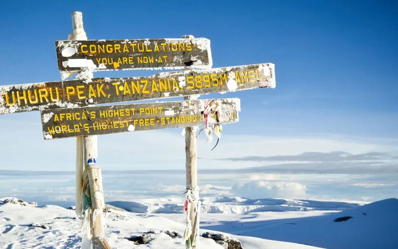 Mount Kilimanjaro Climbing Tours, Kilimanjaro Northern Circuit vs Lemosho, How to Climb Kilimanjaro Without the Crowds, Tips For A Successful Climb On Mount Kilimanjaro, Is Climbing Kilimanjaro Dangerous, What Age Restrictions are There on Mount Kilimanjaro? Kilimanjaro Climb Combo, Serengeti Safari, and Zanzibar Packages, What are the Best Sunglasses for Kilimanjaro? Climbing Kilimanjaro Guide No.1 Kilimanjaro Hike Guide, Why People Fail When Climbing Kilimanjaro, Why People Fail When Climbing Kilimanjaro, Ways to Boost Your Hiking Endurance for Climbing Kilimanjaro, Where does Kilimanjaro Rank Among the Seven Summits? Which Is Higher, Kilimanjaro Climb Or Everest Climb? Uhuru Peak, Climbing Mount Kilimanjaro – The Dos And Don'ts, What's at the Top of Mount Kilimanjaro?, Inspiring Kilimanjaro documentaries to watch, things to know about climbing mount Kilimanjaro, Climbing Kilimanjaro in January, How Kilimanjaro Gilman’s Point Got Its Name (Honor of ClementHow Stella Point Got Its Name (Tribute to Estella Latham) Gillman), Can I take my child on a Kilimanjaro climb with me?, The Arctic Zone of Kilimanjaro, Hats For Kilimanjaro, What is the Safest Route on Kilimanjaro?, Ways Climbing Kilimanjaro Enriches Your Life, amazing sights to see while Climbing Kilimanjaro, Does Mount Kilimanjaro have any cultural significance?