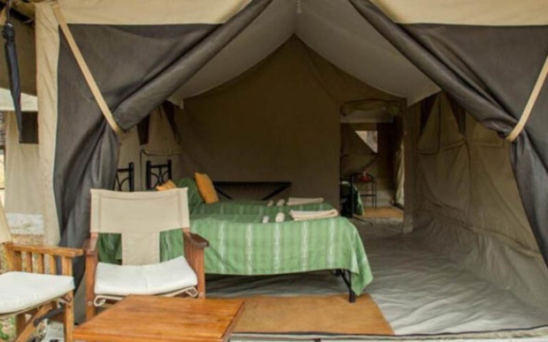 Katikati Tented Camp