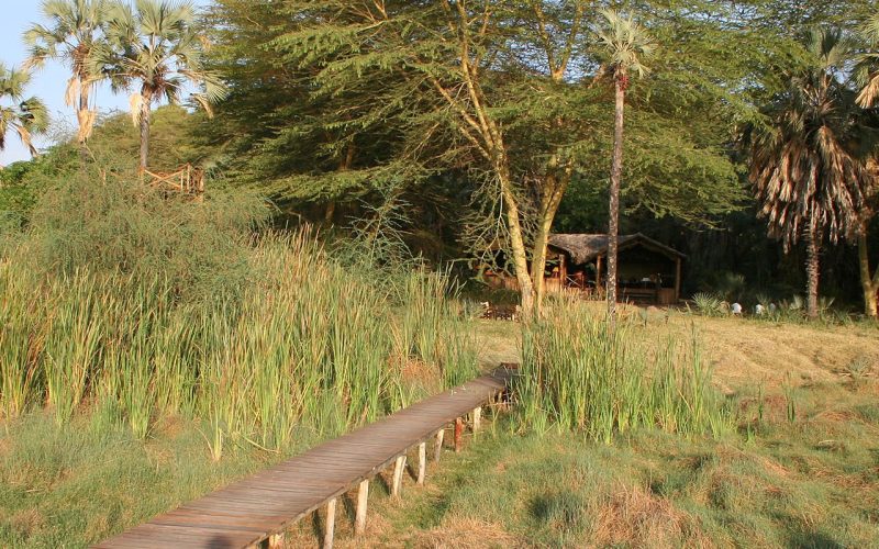 Kisima Ngeda Camp - Lake Eyasi, Tanzania, Best Time to Visit Lake Eyasi