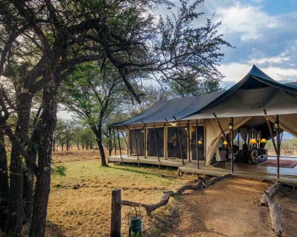 This Luxury Camp is strategically located within the northern (Kogatende) area of the famous Serengeti National Park in Tanzania and is set amidst the most prime areas of the Serengeti following the path of the great migration,