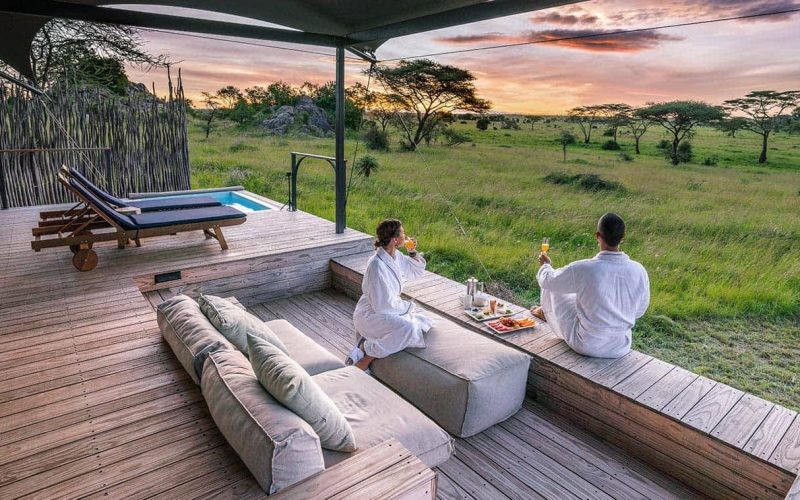 Lemala Nanyukie Lodge | Serengeti National Park, 21 Common Animals in Serengeti National Park, Dream Honeymoon Safari in Tanzania, 10 Best Luxury Safari Camps & Lodges in the Serengeti, unforgettable Tanzania honeymoon safari, The Best Time to Plan Your Tanzania Honeymoon Safari, Tanzania Luxury Safaris, Tanzania Luxury Honeymoon Safari, Tanzania Luxury Safaris offers by specialized tour operators, The Best Time to Go on an African Honeymoon, Luxury Serengeti Safari Tours