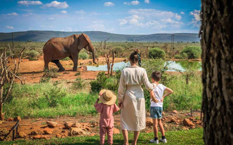 Top 5 Best Tanzania Family Safaris & Tours, 10 Things to do in Arusha, Top 10 Best African Safari Parks and Destinations of 2023/2024, Why Tanzania is the Perfect Choice for a Family Safari, Best 7 Day African Safari Tours, Tanzania Family Safari Vacations | 8 Day Amazing Family Safari in Tanzania, African Safari With Kids, Babies and Toddlers on an African Safari, things your family will experience on safari beyond animals, Is it safe to take kids on a safari in Tanzania?, Best Age For A Family Safari: When To Go With Kids